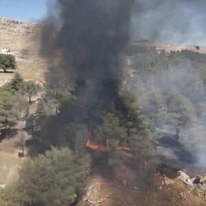 adiyamandaki orman yangini sonduruldu dGM8BBi5