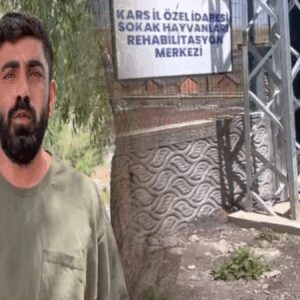 bu mu merhamet barinakta katliam k3pU1Ma6