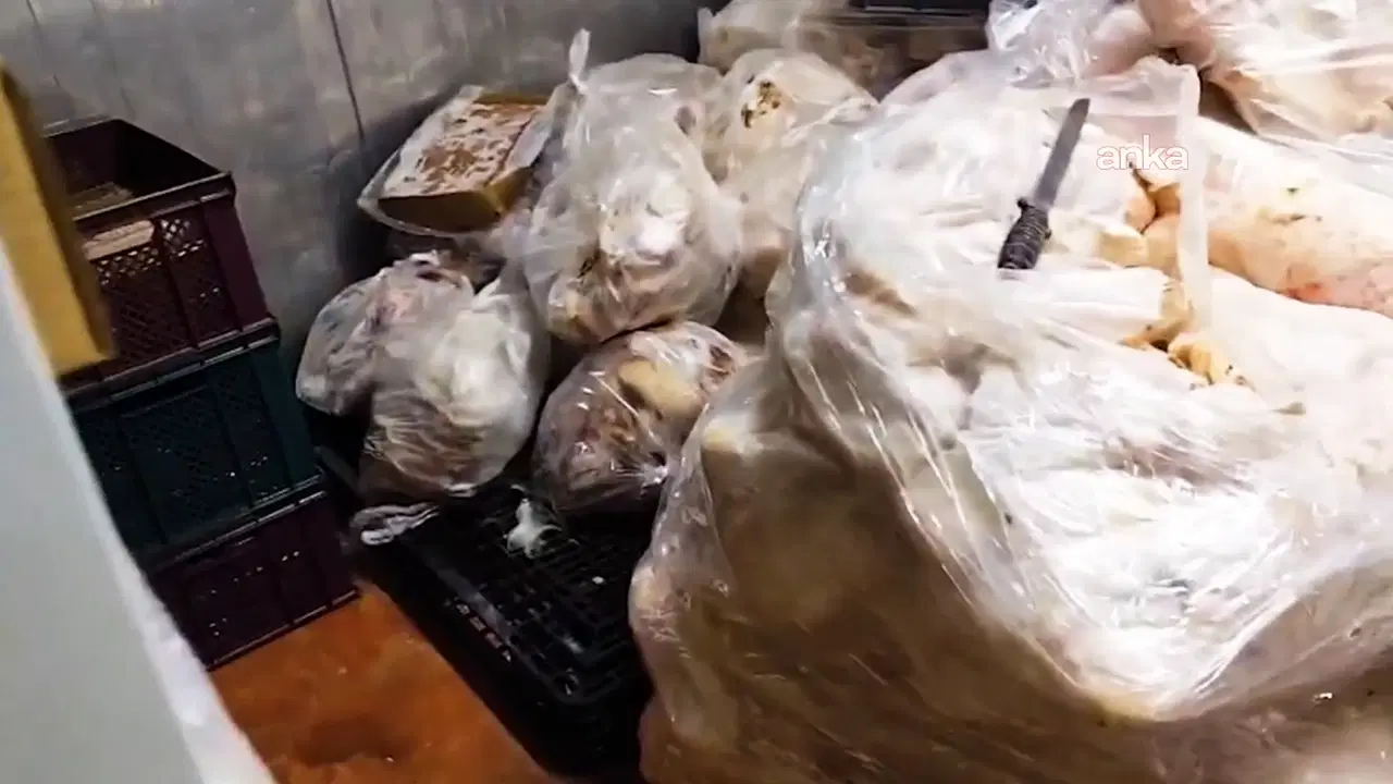 ankarada mide bulandiran saglik skandali bakanlik bin 316 kilogramini imha etti 9Fw7Fin2