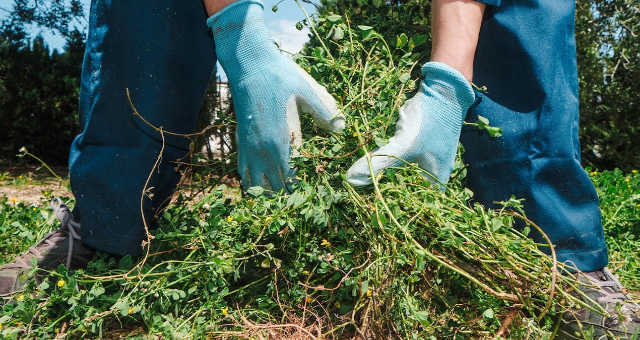 bahcede ot yolarken milyoner oldular rAhNCqGQ