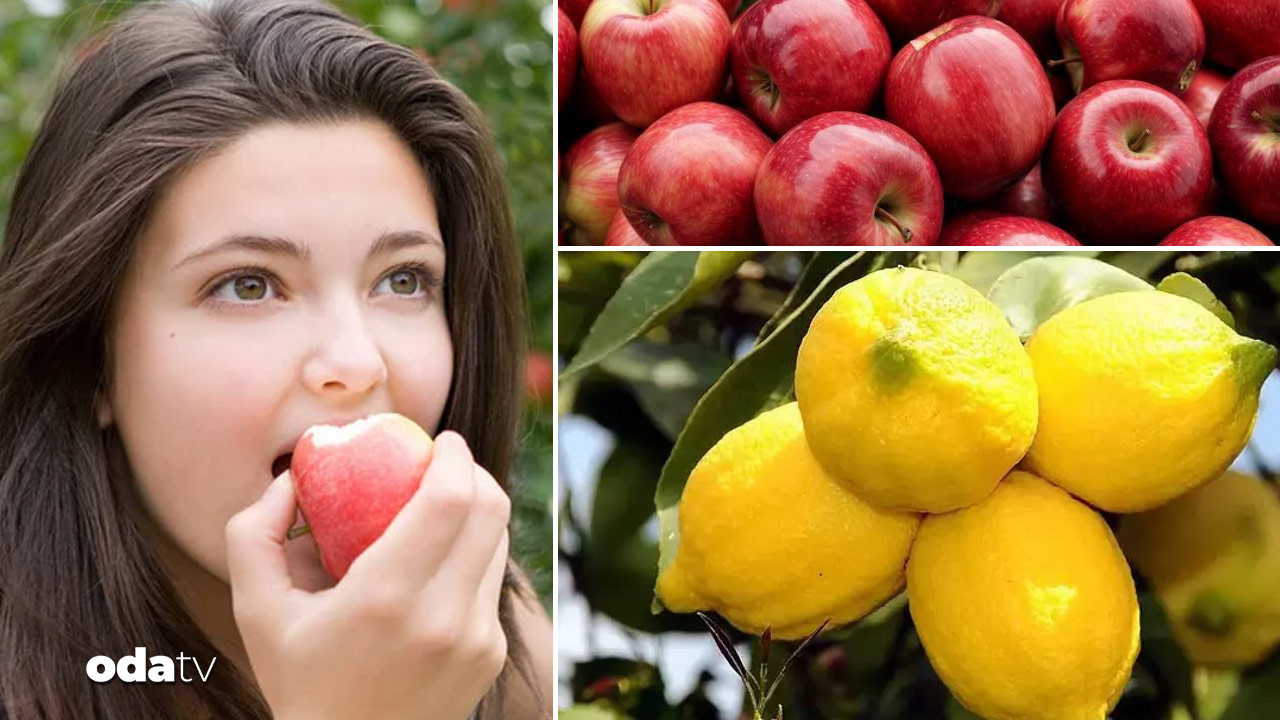 limon ve elmaya fren ihraci kayda baglandi bsbMlikC