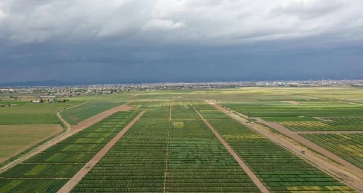 tarimsal girdi fiyatlari temmuzda yukseldi yillik artis yuzde 342 Nzwn6R9s