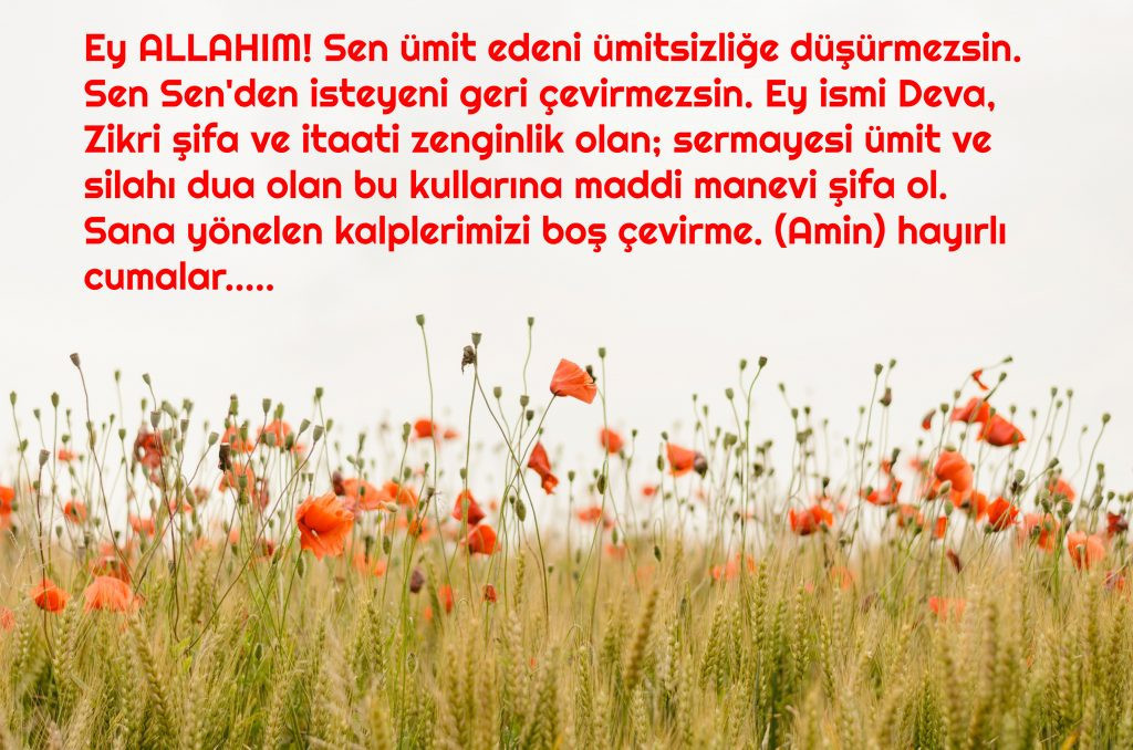 Kabul Olan Dua ve Temenniler