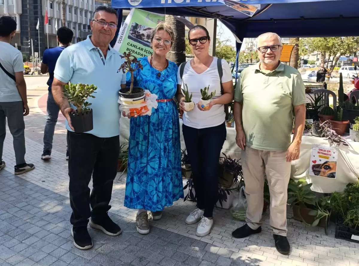 emekli ogretmenin sokak hayvanlarina destek kermesi GtmUJY5Y